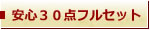 安心３０点フルセット