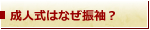 成人式はなぜ振袖？