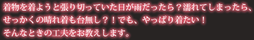 雨の日も晴れ着を！